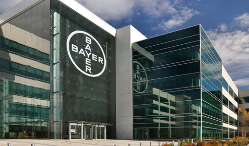 Bayer     