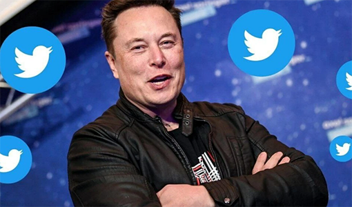 Илон Маск думает создать свою соц. сеть, но покупает акции Twitter
